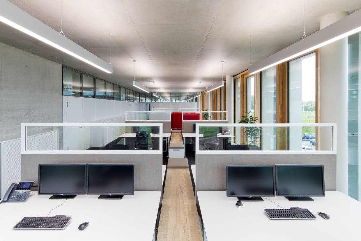 Partition walls between workstations in an open-plan office help to improve acoustics